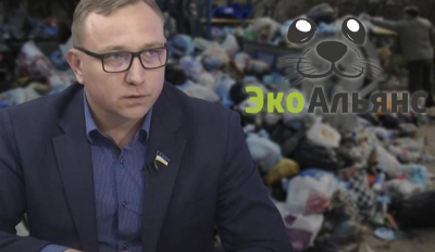 Депутатские закрома. Вездесущий миллионер – Дмитрий Дружинин